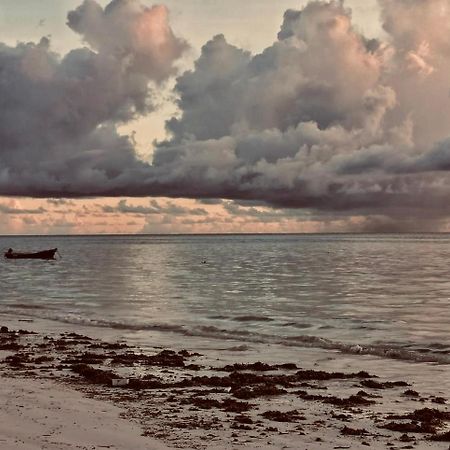 Sand Beach Boutique Apartments Bwejuu Bagian luar foto