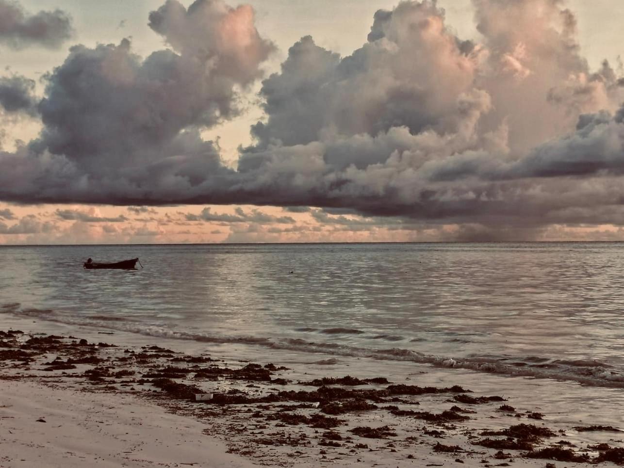 Sand Beach Boutique Apartments Bwejuu Bagian luar foto