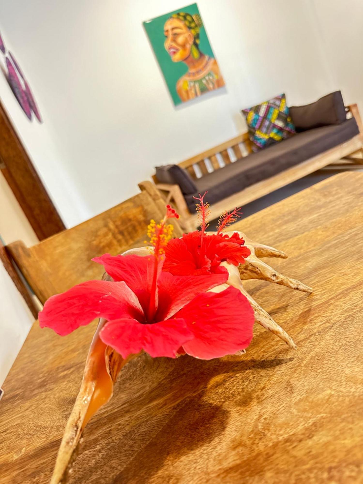 Sand Beach Boutique Apartments Bwejuu Bagian luar foto