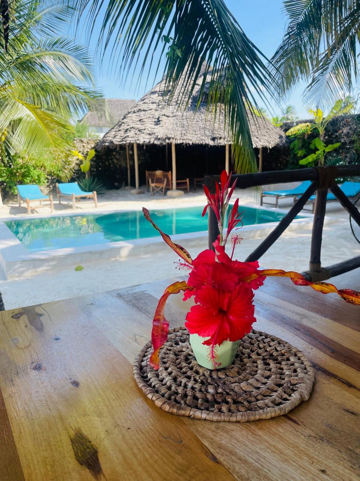Sand Beach Boutique Apartments Bwejuu Bagian luar foto