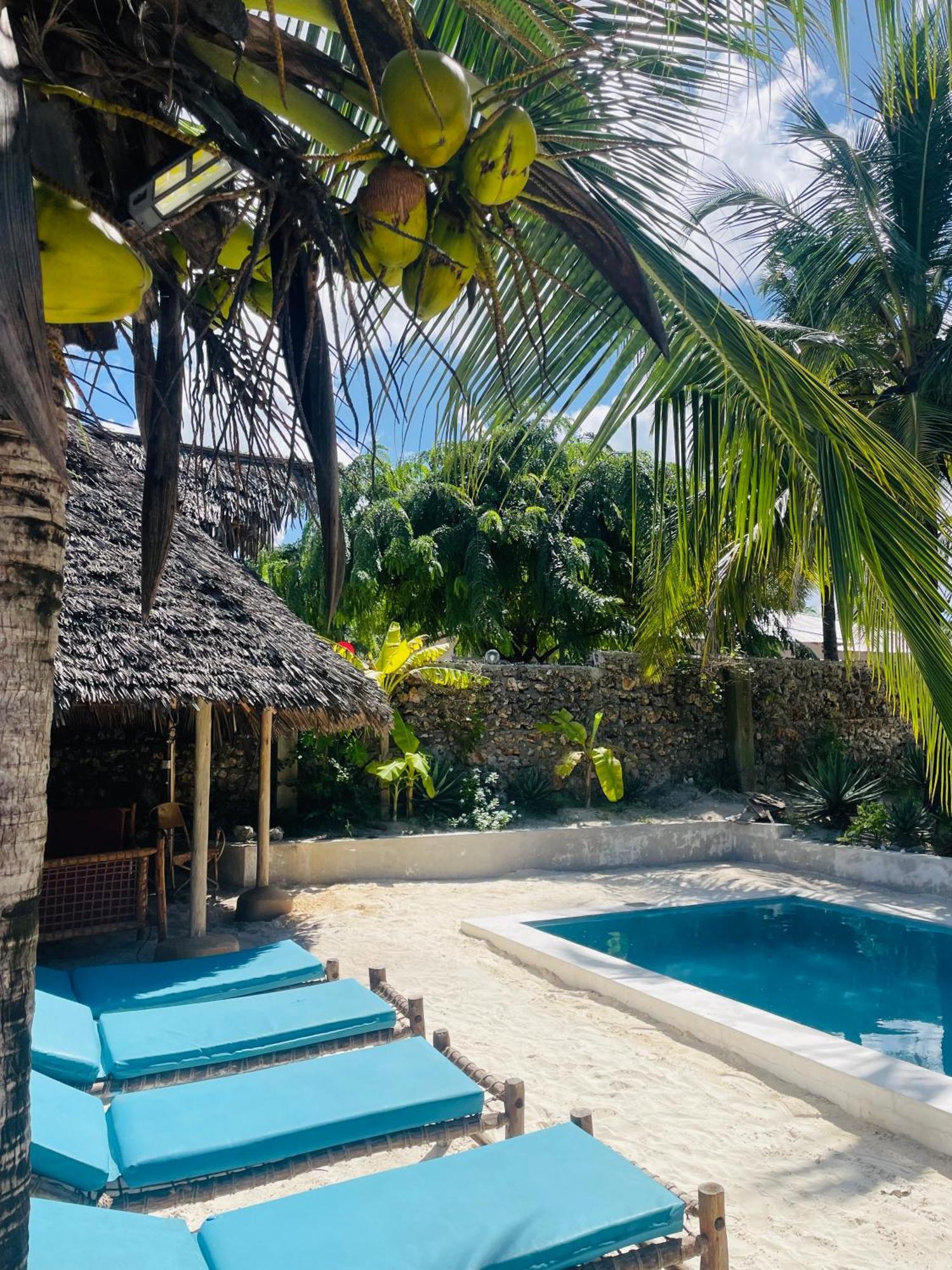 Sand Beach Boutique Apartments Bwejuu Bagian luar foto