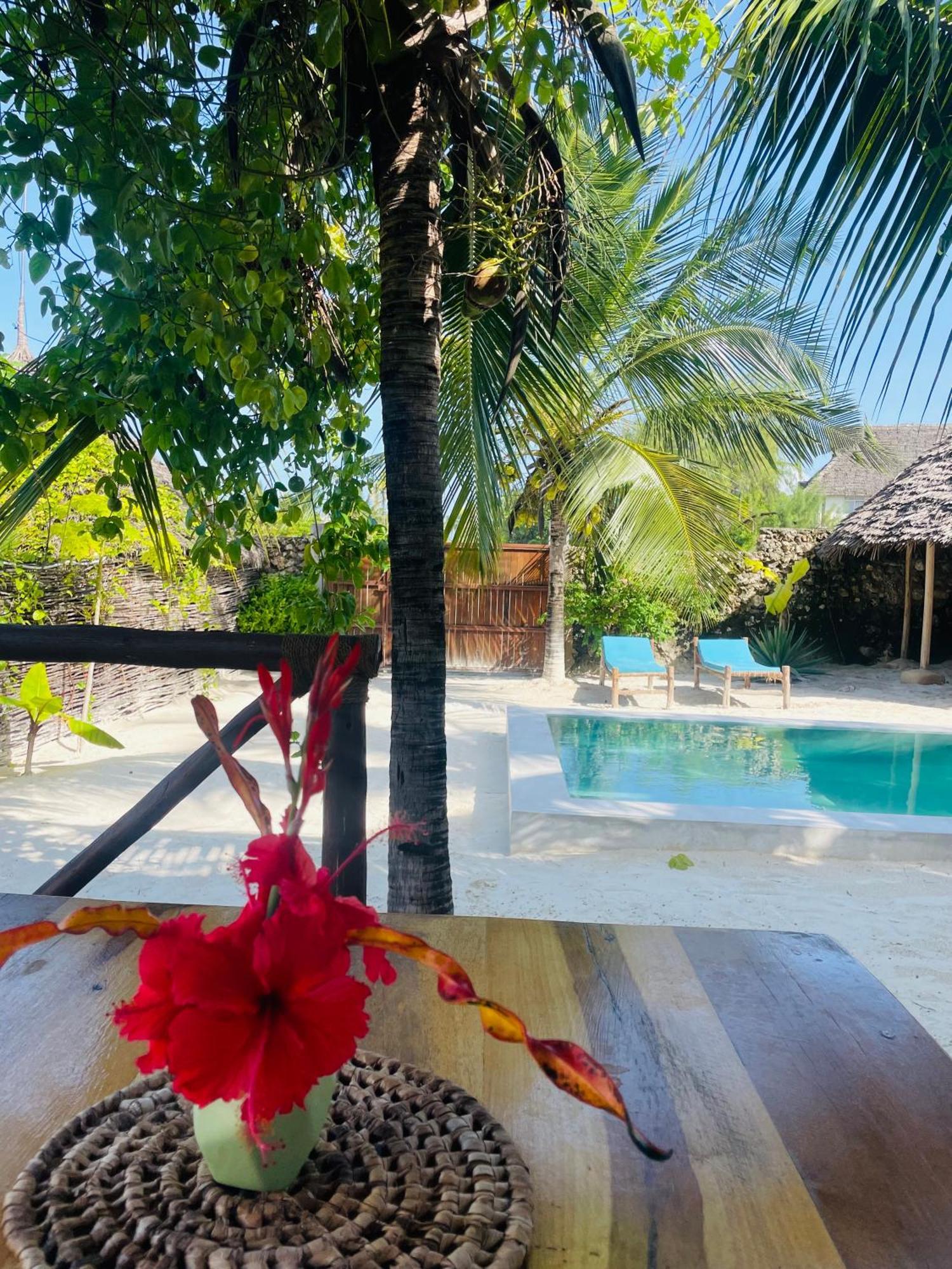 Sand Beach Boutique Apartments Bwejuu Bagian luar foto